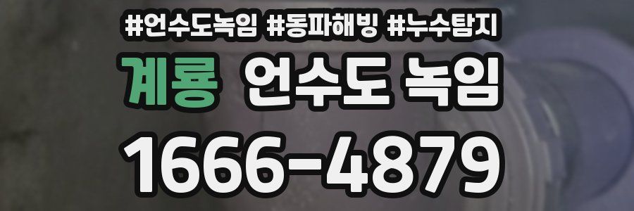 계룡 언수도 녹임