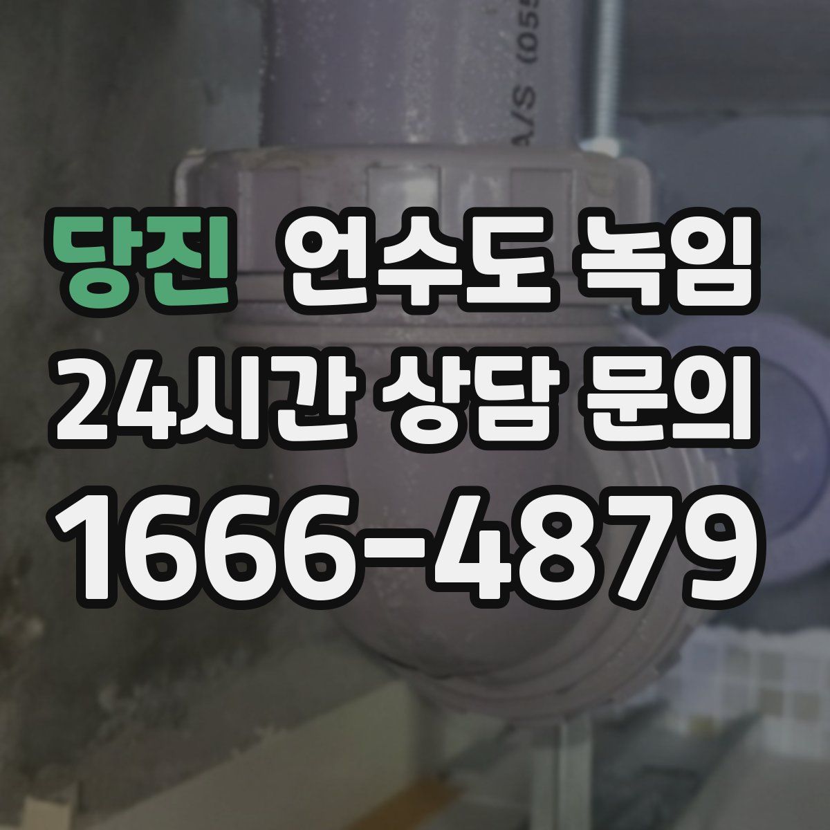 당진 언수도 녹임