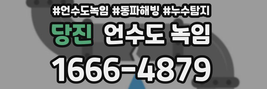 당진 언수도 녹임