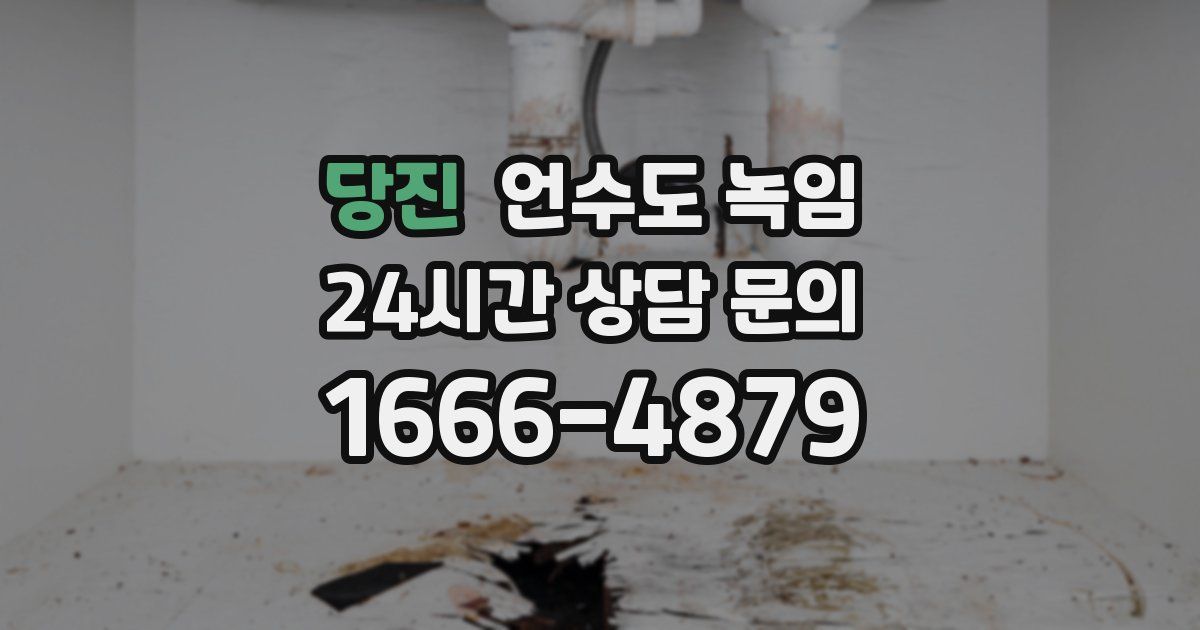 당진 언수도 녹임