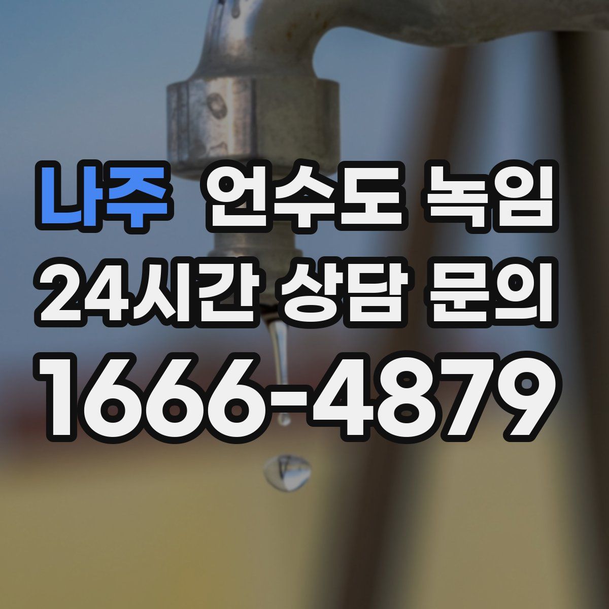 나주 언수도 녹임