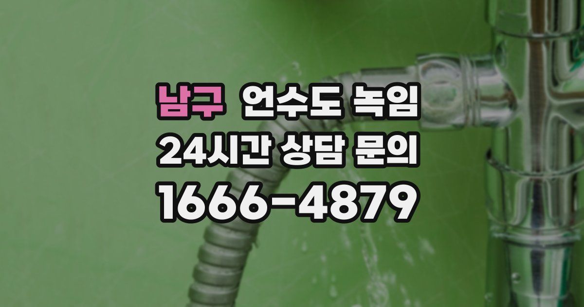 남구 언수도 녹임