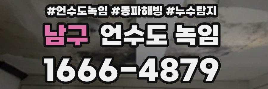 남구 언수도 녹임