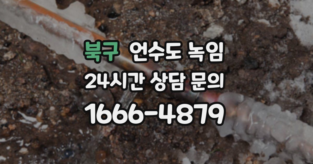 북구 언수도 녹임