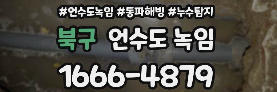 북구 언수도 녹임