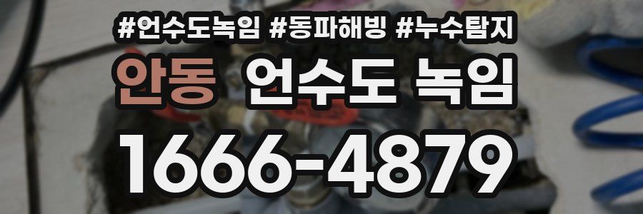 안동 언수도 녹임