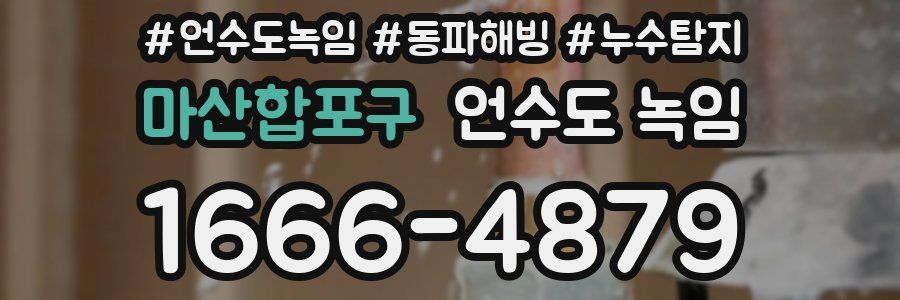 마산합포구 언수도 녹임