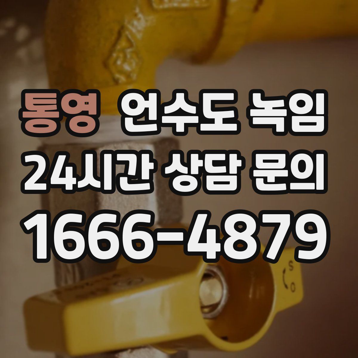 통영 언수도 녹임