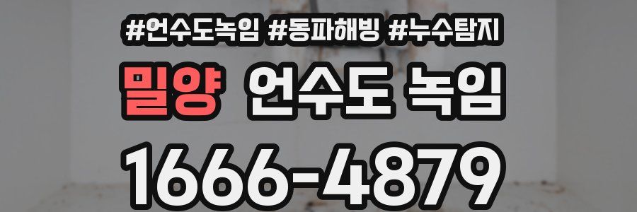 밀양 언수도 녹임