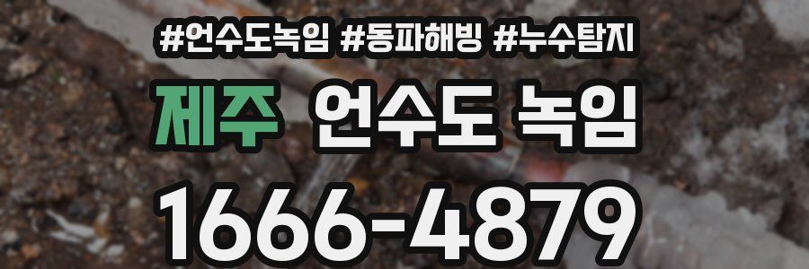 제주 언수도 녹임