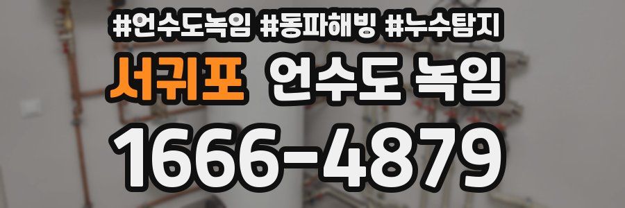 서귀포 언수도 녹임