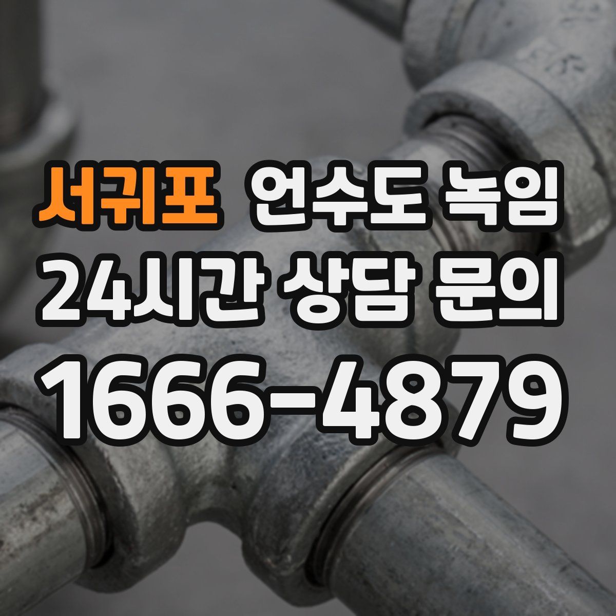 서귀포 언수도 녹임