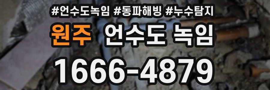 원주 언수도 녹임