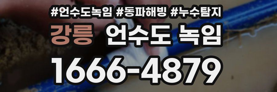 강릉 언수도 녹임