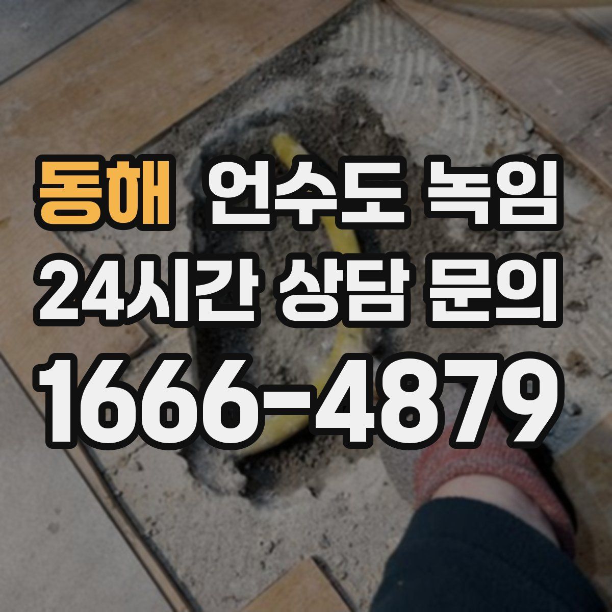 동해 언수도 녹임