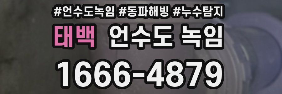 태백 언수도 녹임