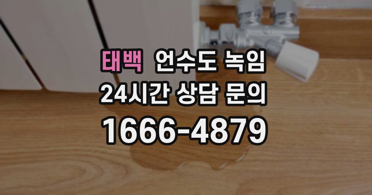 태백 언수도 녹임