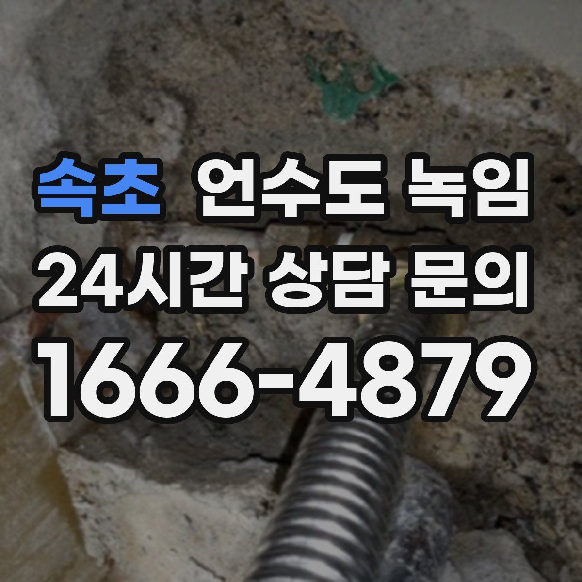 속초 언수도 녹임