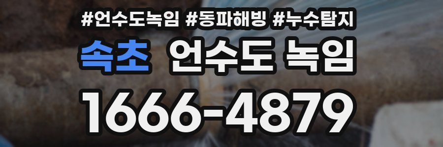 속초 언수도 녹임