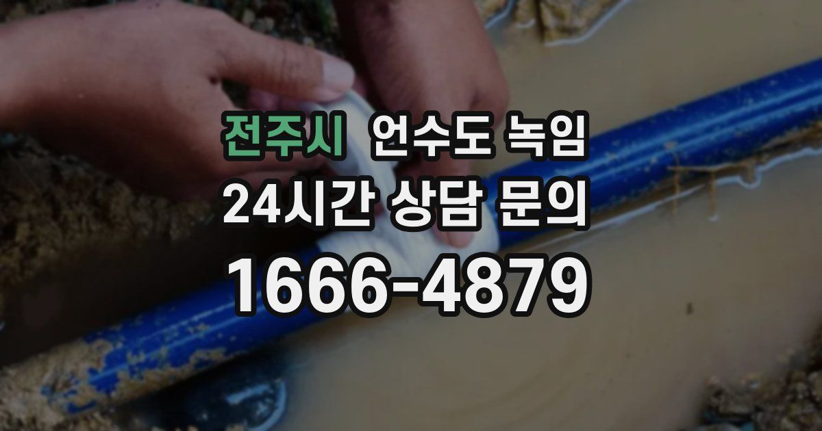 전주시 언수도 녹임
