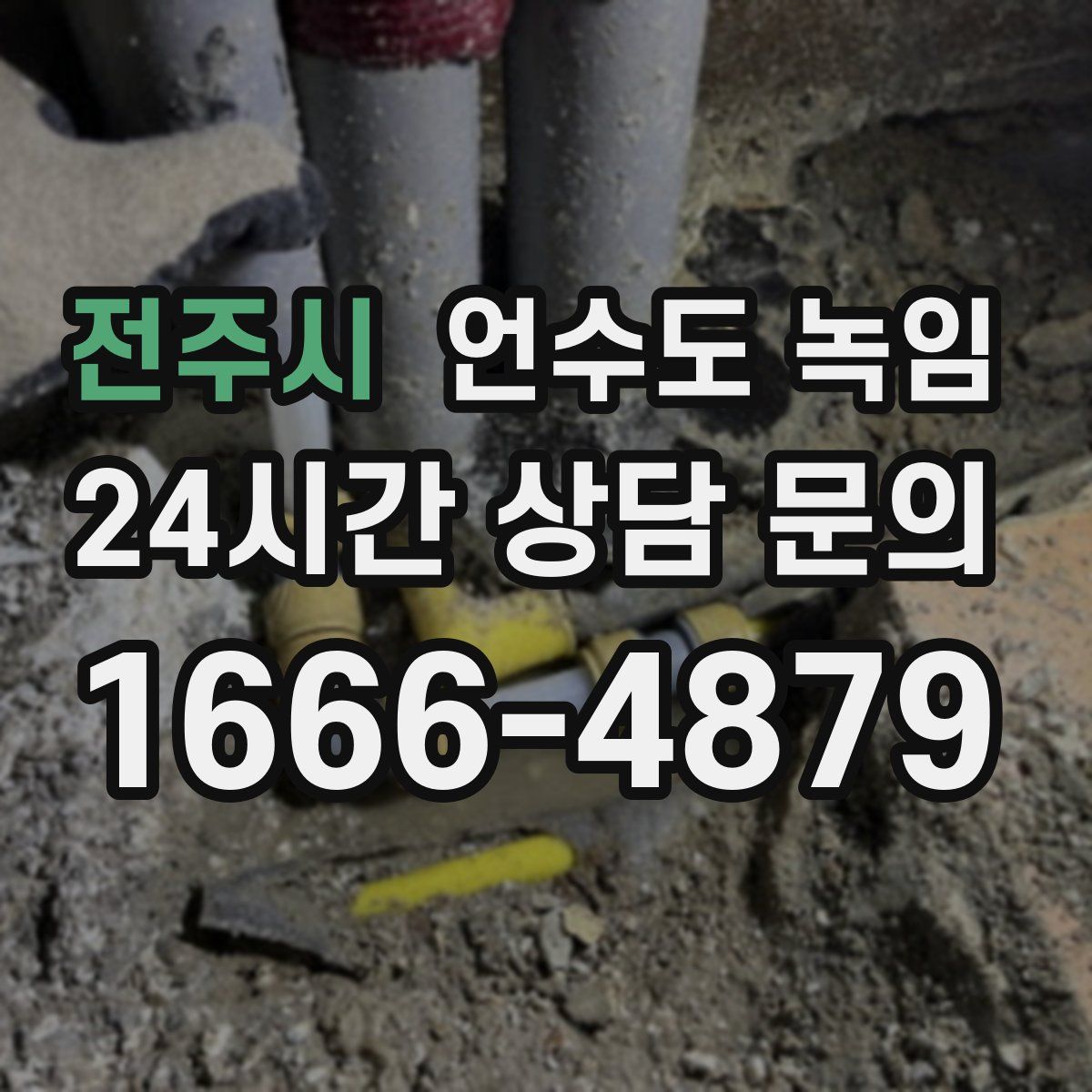 전주시 언수도 녹임