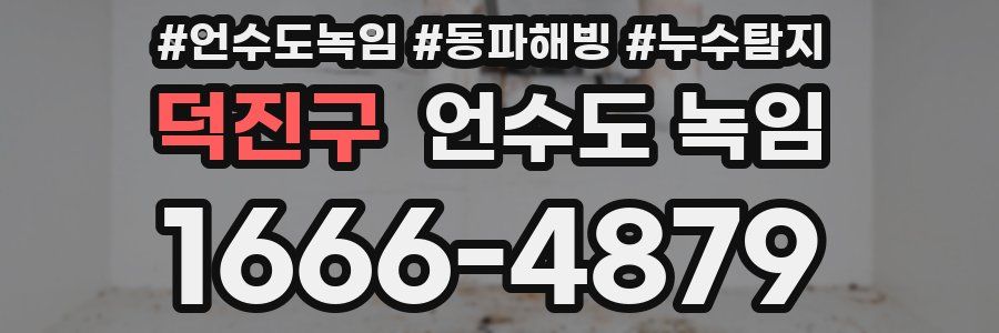 덕진구 언수도 녹임