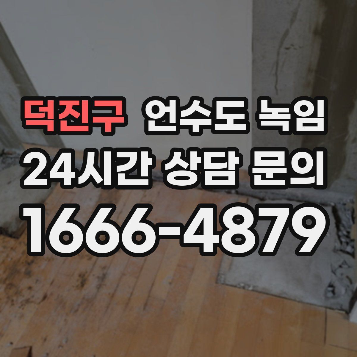 덕진구 언수도 녹임