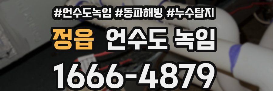 정읍 언수도 녹임