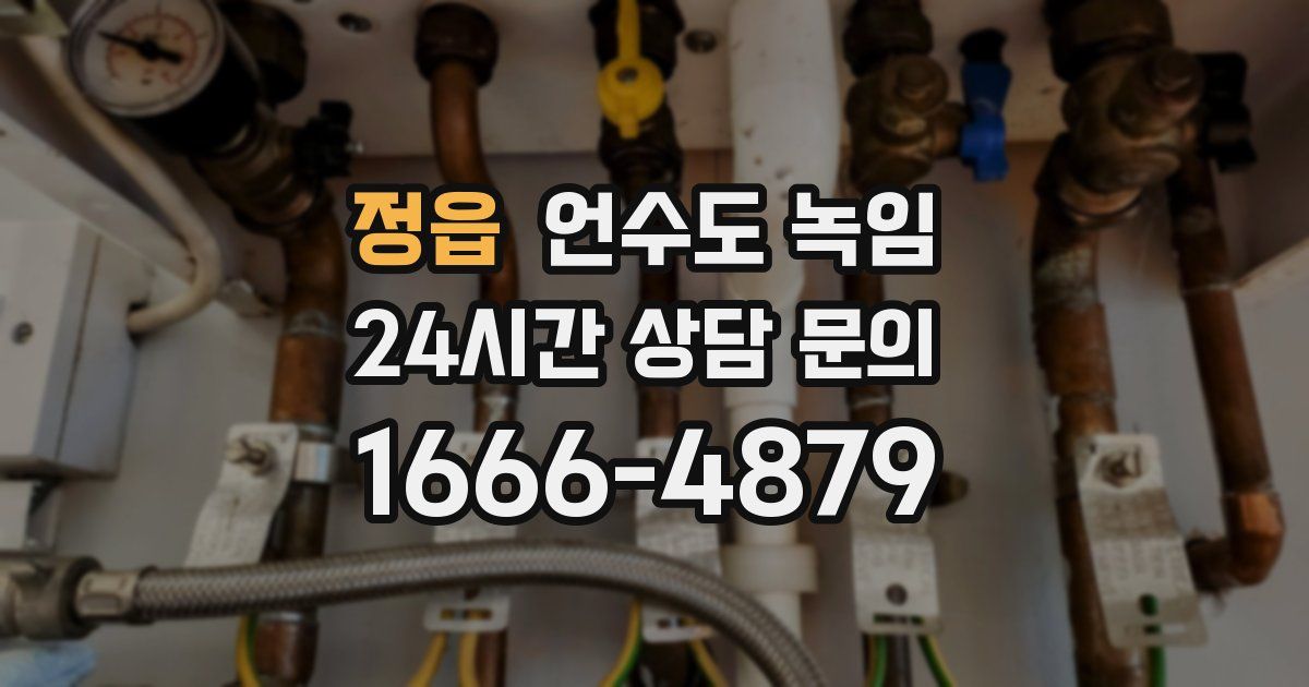 정읍 언수도 녹임