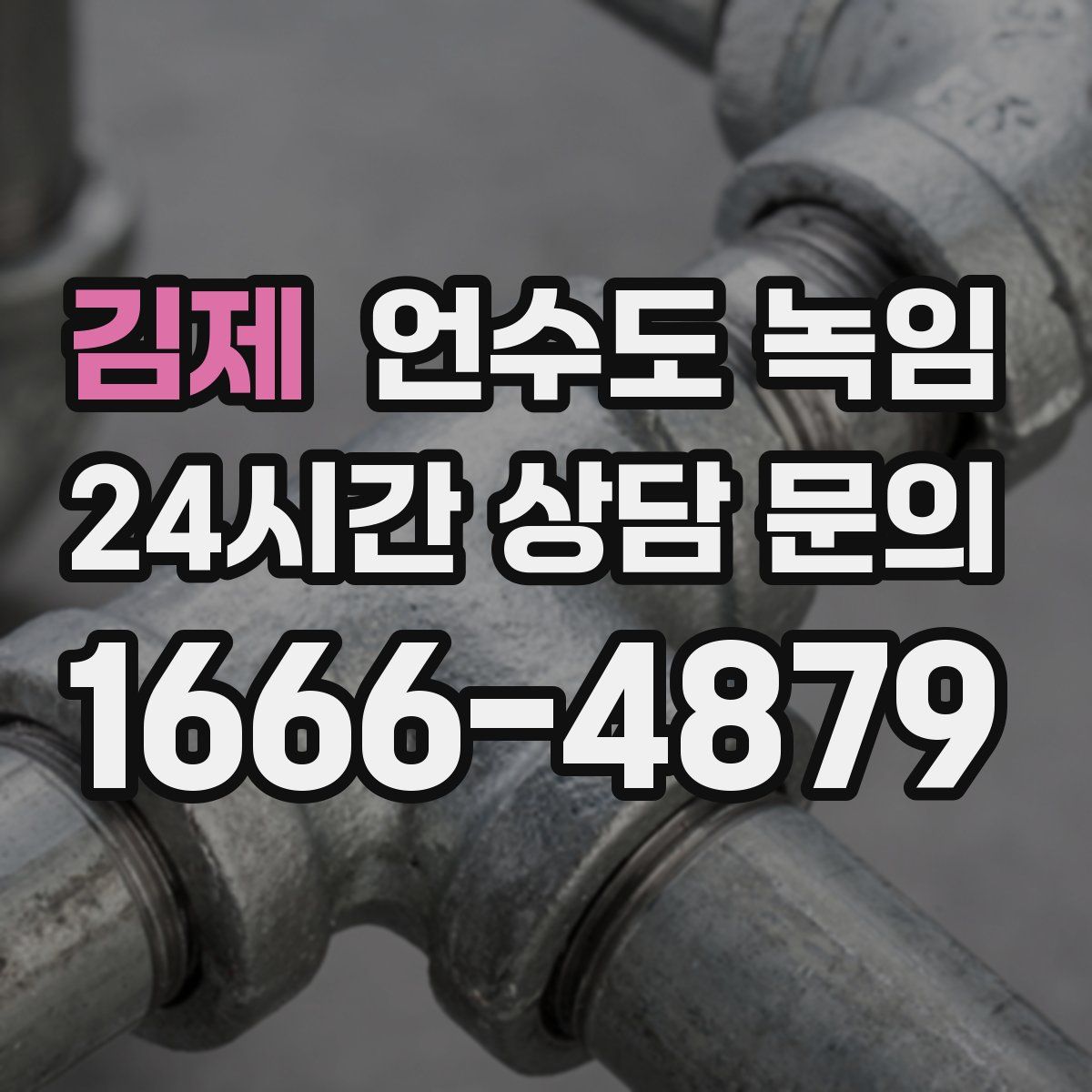 김제 언수도 녹임