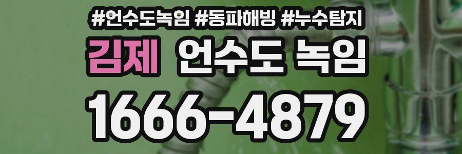 김제 언수도 녹임