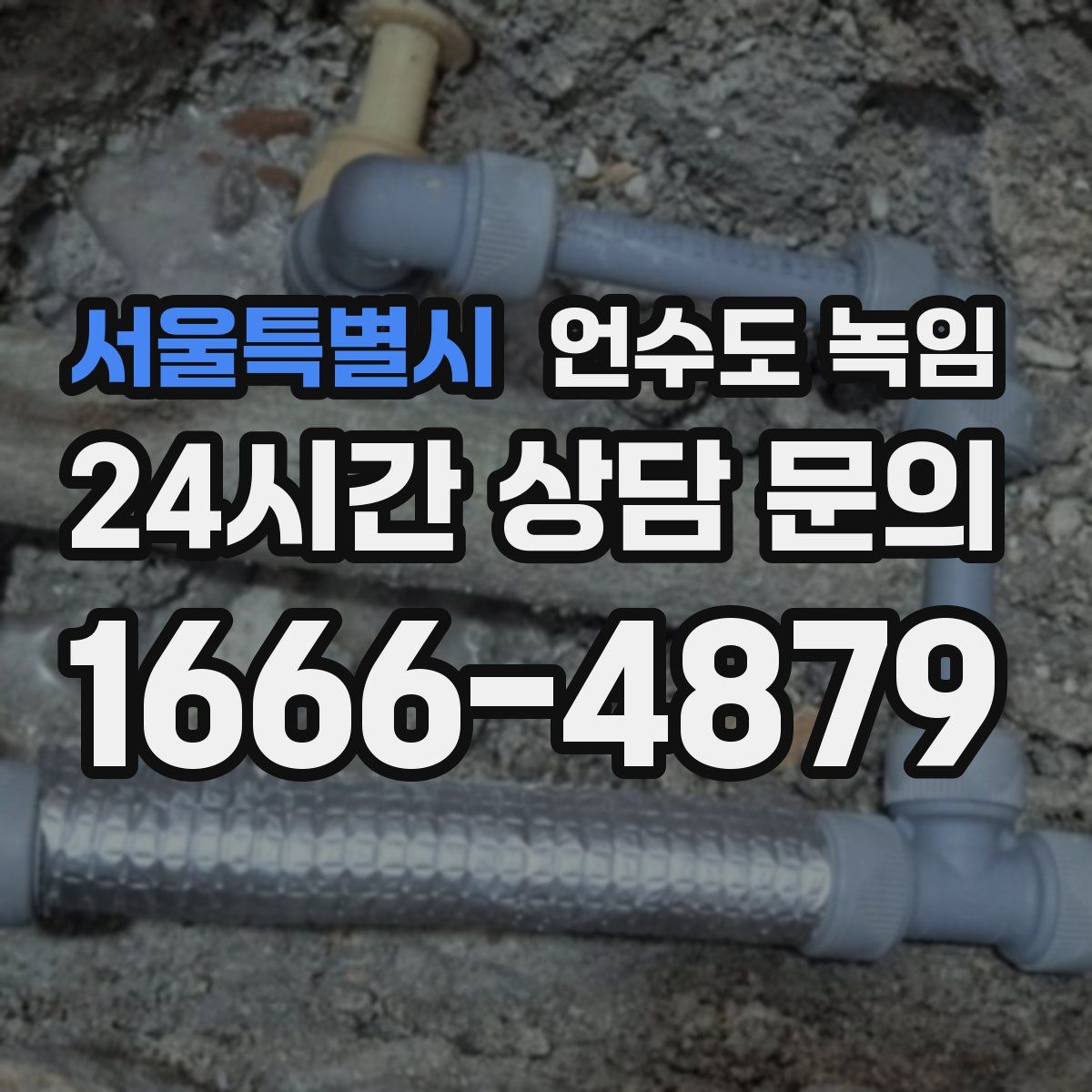 서울특별시 언수도 녹임