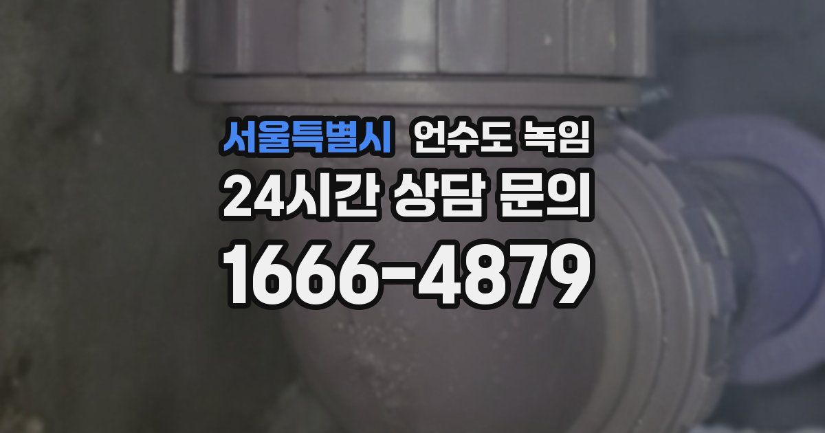 서울특별시 언수도 녹임