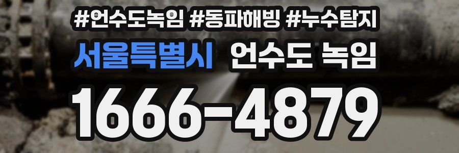 서울특별시 언수도 녹임