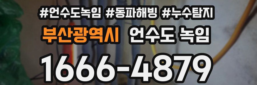 부산광역시 언수도 녹임