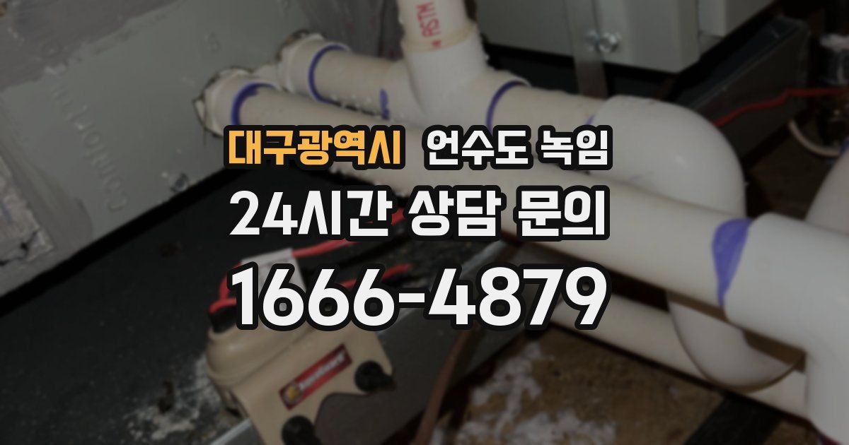대구광역시 언수도 녹임