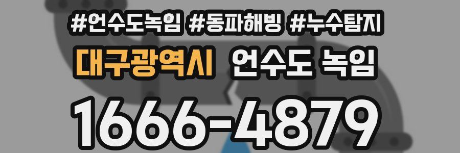 대구광역시 언수도 녹임