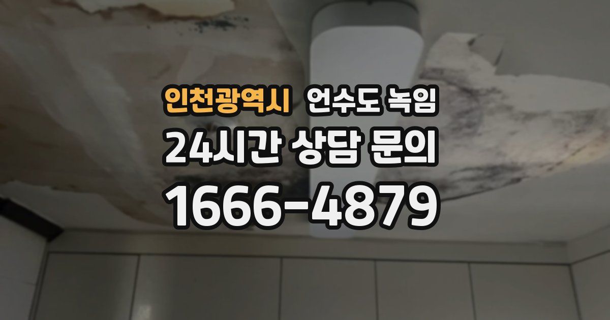 인천광역시 언수도 녹임