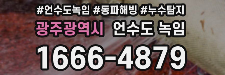 광주광역시 언수도 녹임
