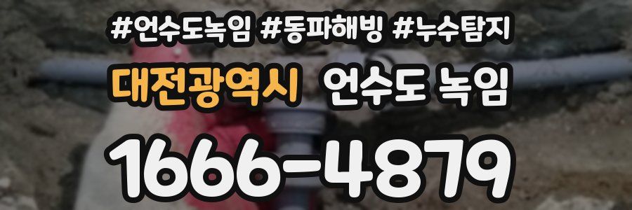 대전광역시 언수도 녹임