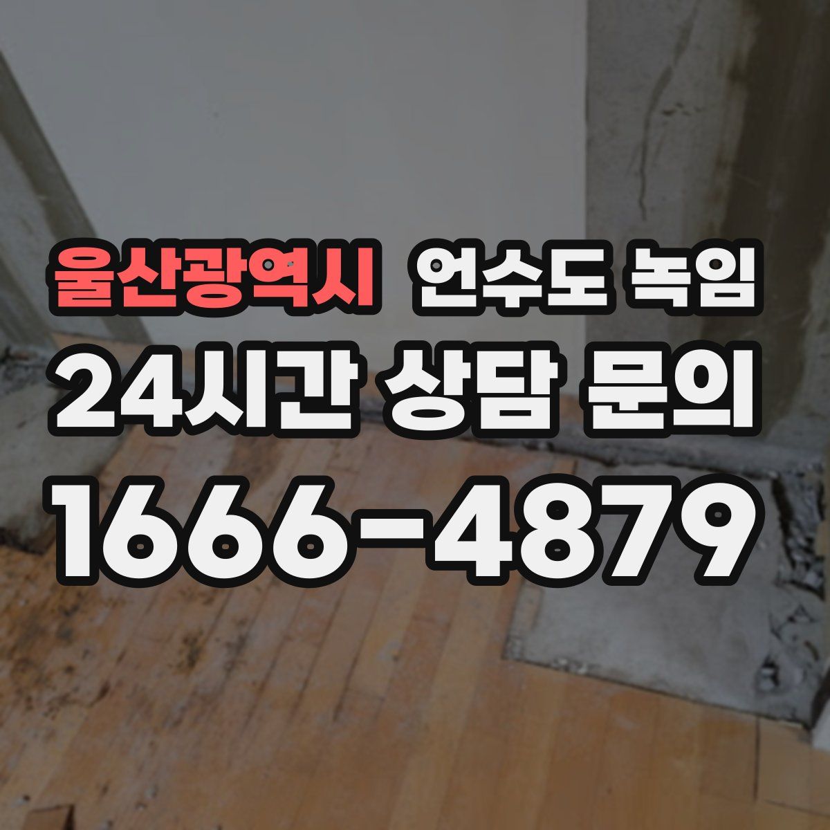 울산광역시 언수도 녹임