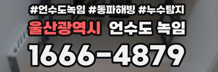 울산광역시 언수도 녹임