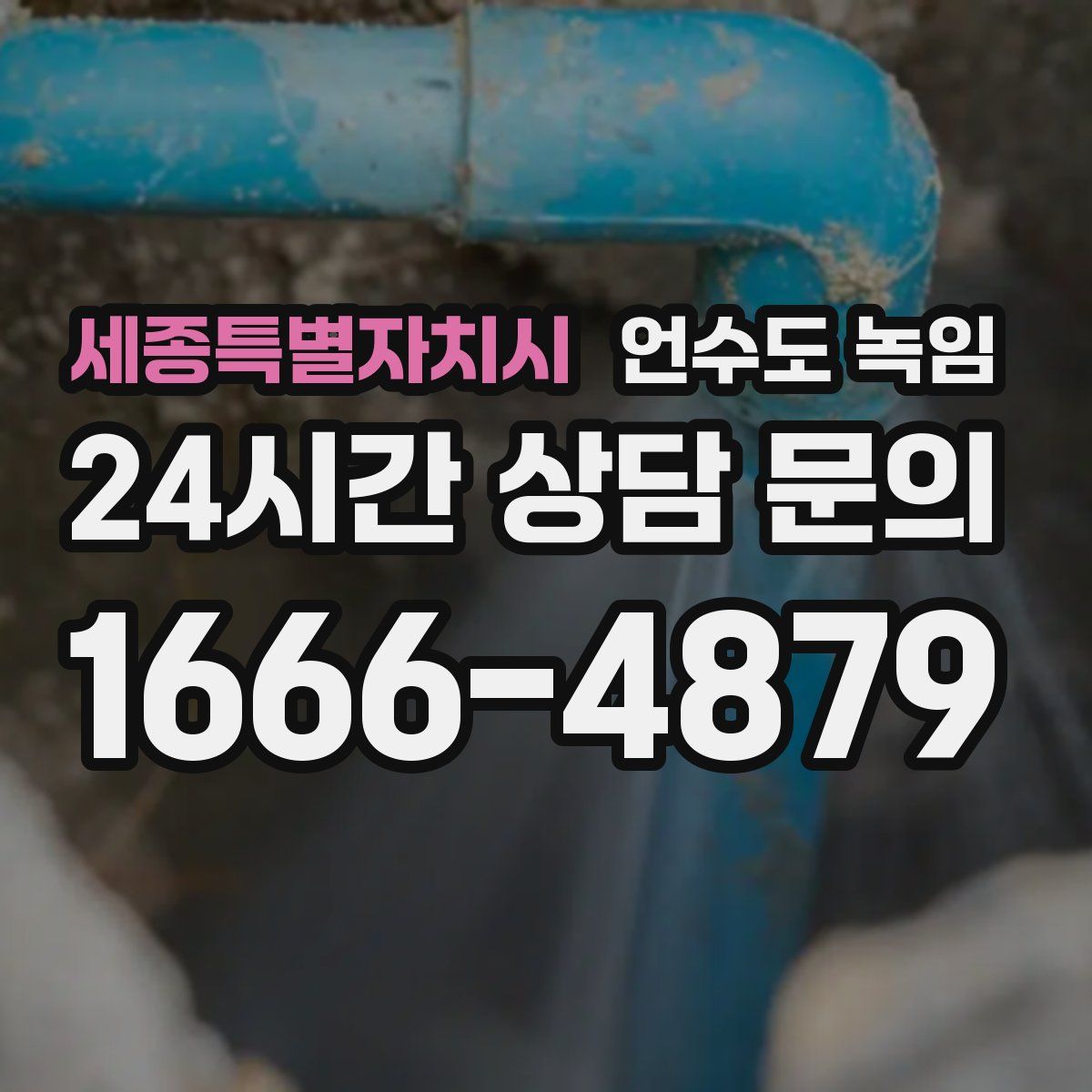 세종특별자치시 언수도 녹임