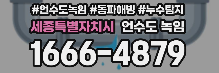 세종특별자치시 언수도 녹임
