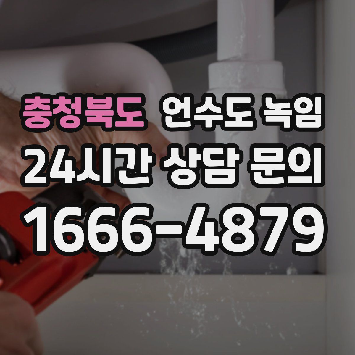 충청북도 언수도 녹임