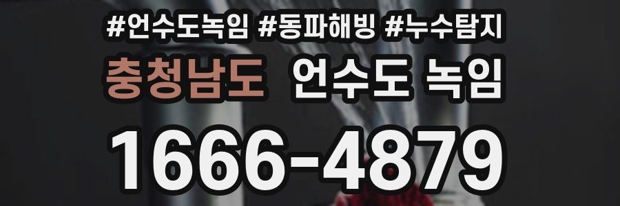 충청남도 언수도 녹임