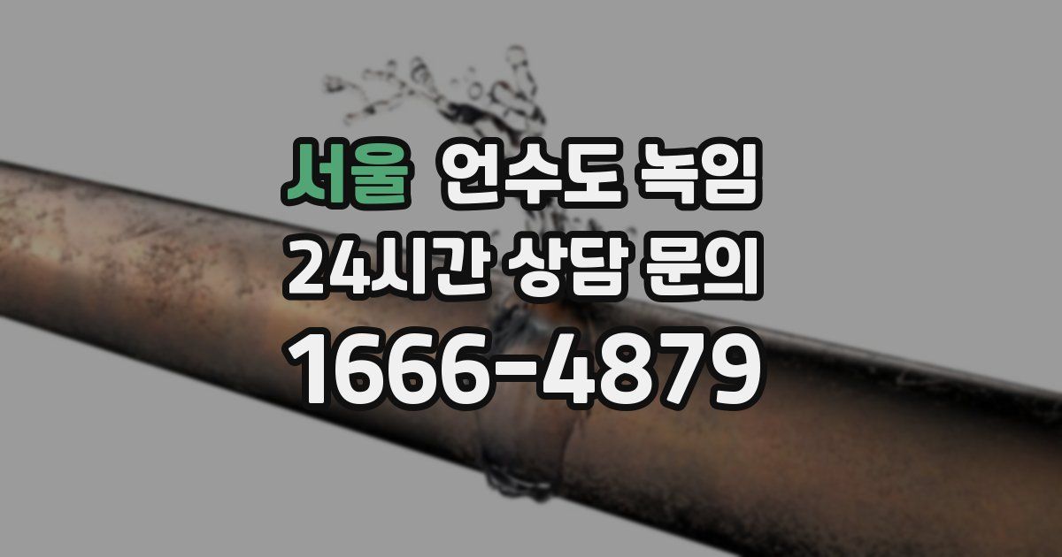 서울 언수도 녹임