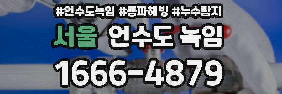 서울 언수도 녹임