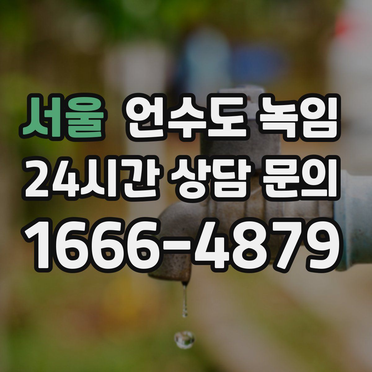 서울 언수도 녹임