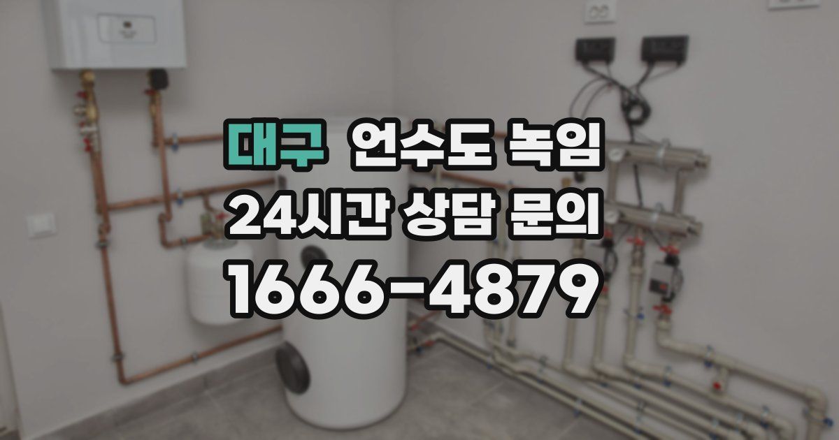 대구 언수도 녹임